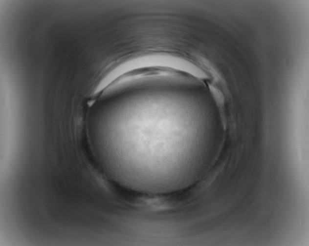 X0000083970113200703091811