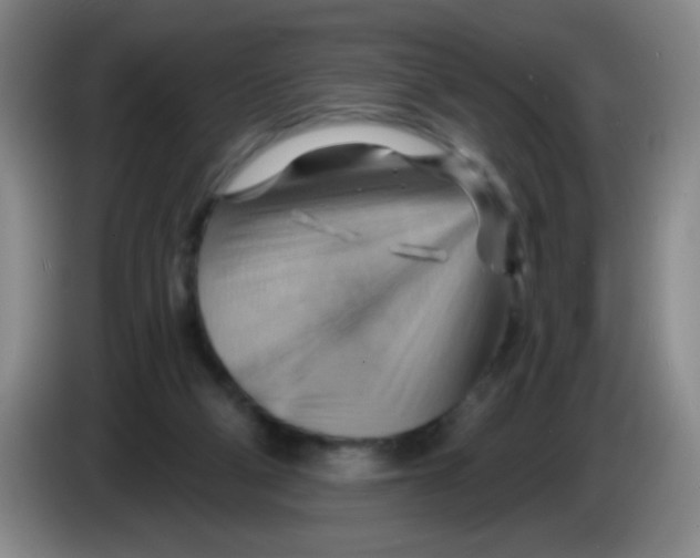 X0000083970114200703091811