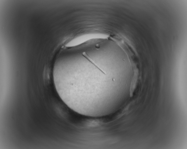 X0000083970115200703091811