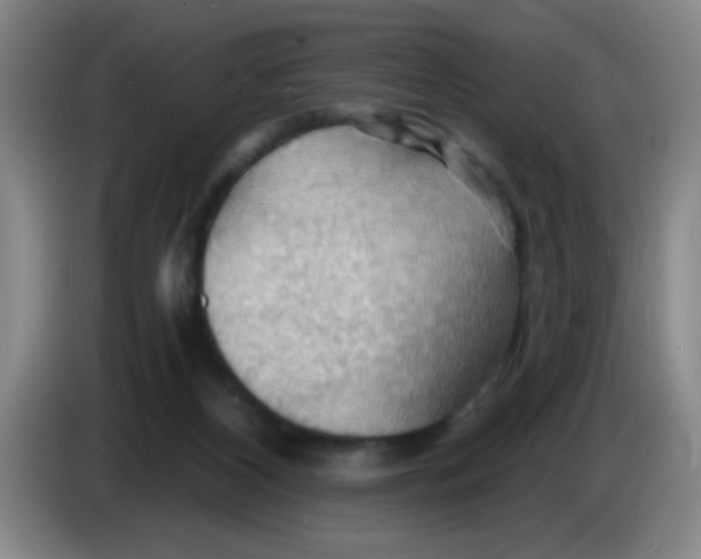 X0000083970116200703091811