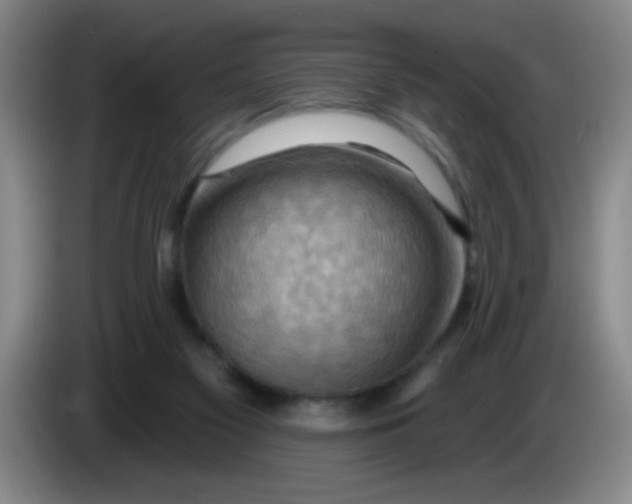 X0000083970117200703091811