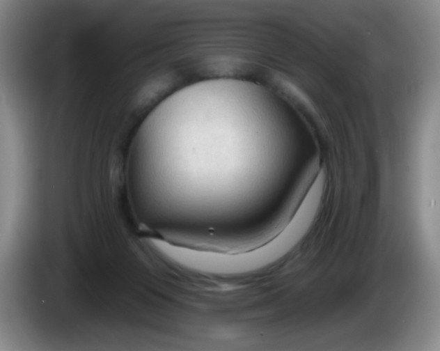 X0000083970119200703091811