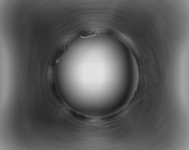 X0000083970121200703091811