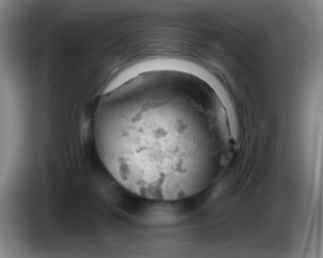 X0000083970123200703091811