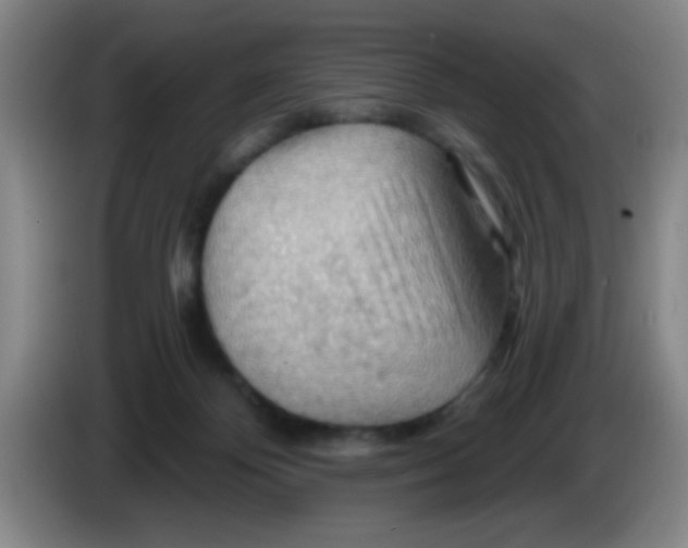X0000083970124200703091811