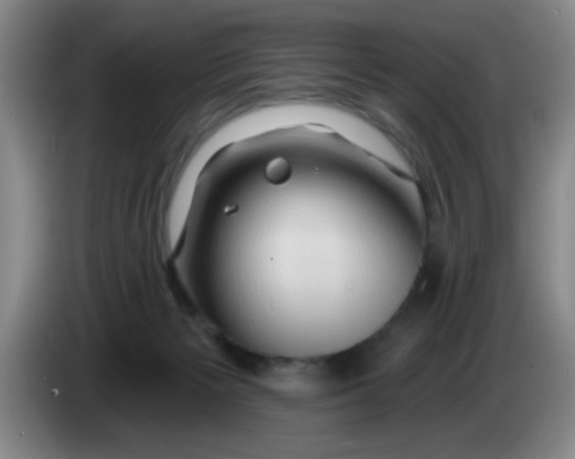X0000083970125200703091811