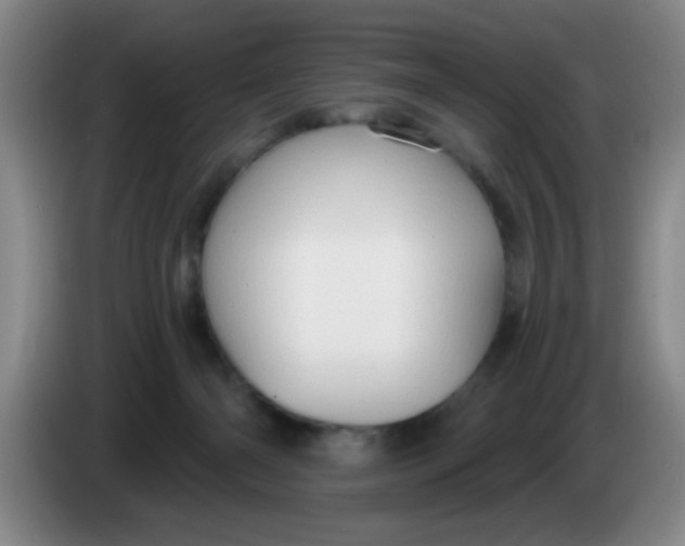 X0000083970126200703091811