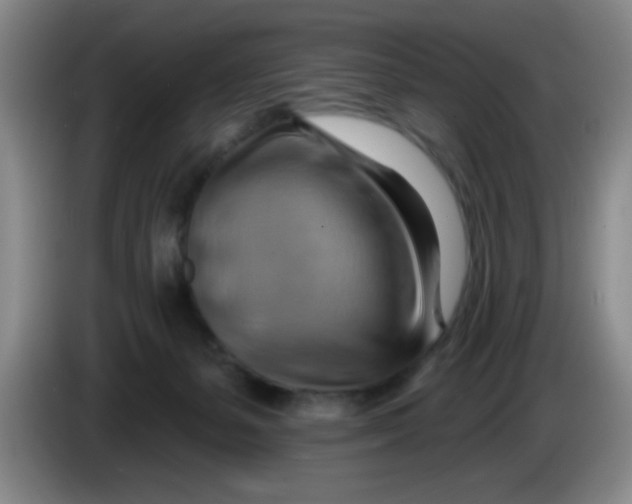 X0000083970127200703091811