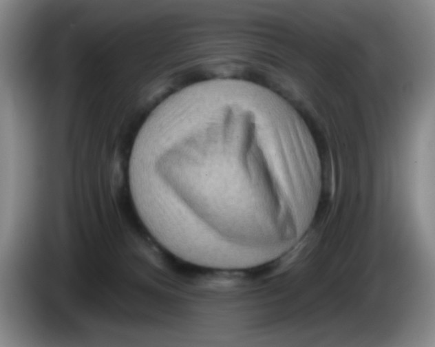 X0000083970128200703091811