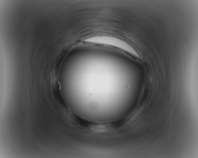 X0000083970129200703091811