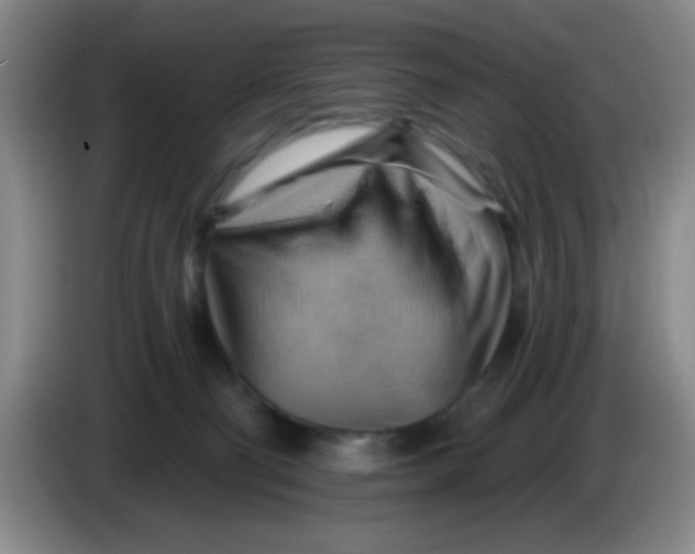 X0000083970130200703091811