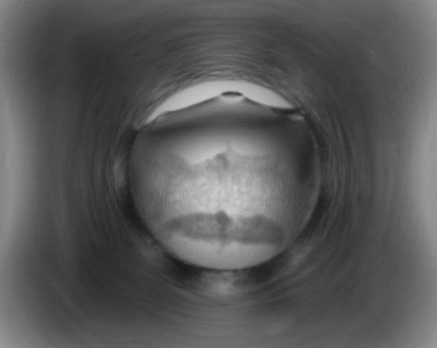 X0000083970131200703091811