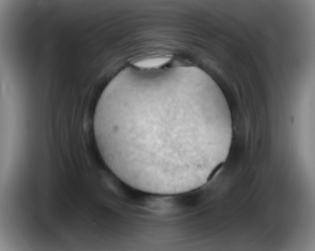 X0000083970132200703091811