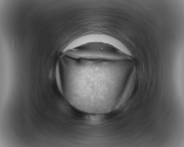 X0000083970134200703091811