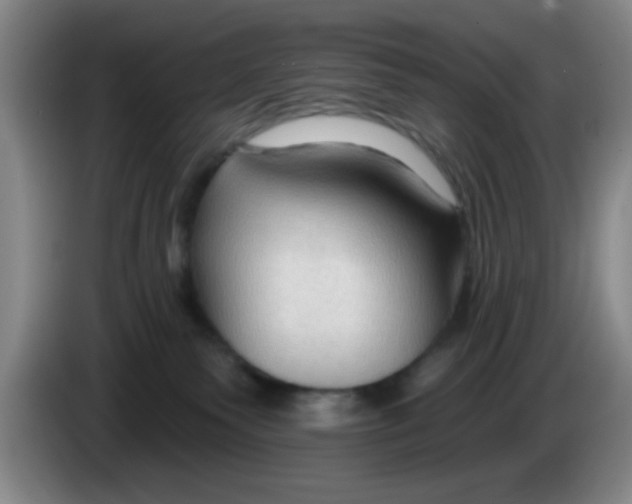 X0000083970135200703091811