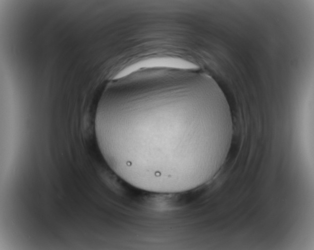 X0000083970136200703091811