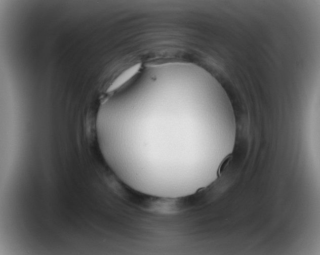 X0000083970138200703091811