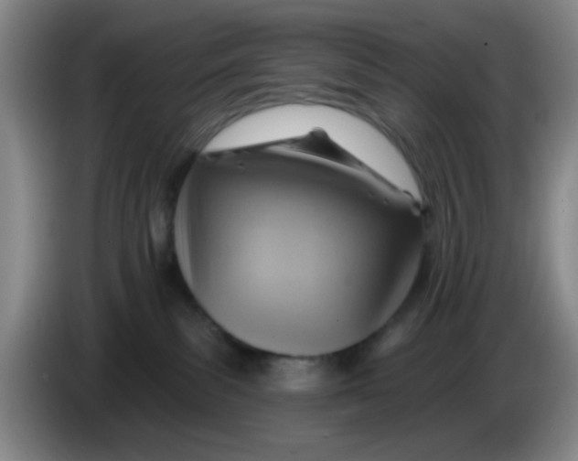 X0000083970139200703091811