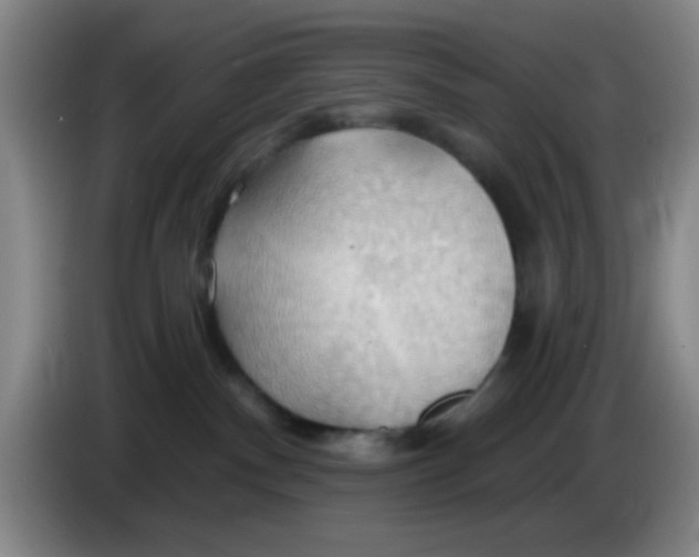 X0000083970140200703091811