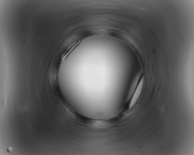 X0000083970141200703091811