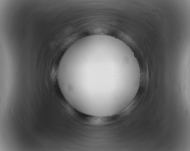 X0000083970142200703091810