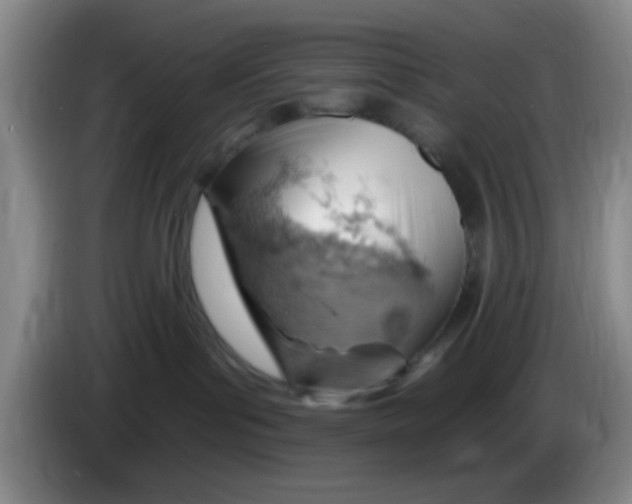 X0000083970143200703091810