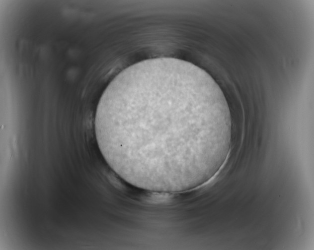 X0000083970144200703091810