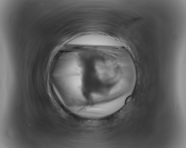 X0000083970145200703091810