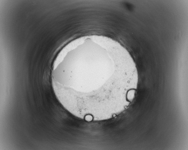 X0000083970146200703091810