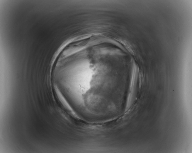 X0000083970147200703091810