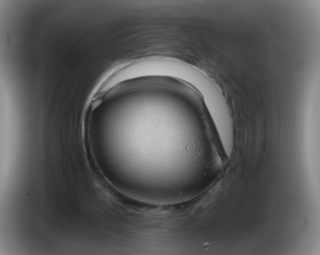 X0000083970148200703091810
