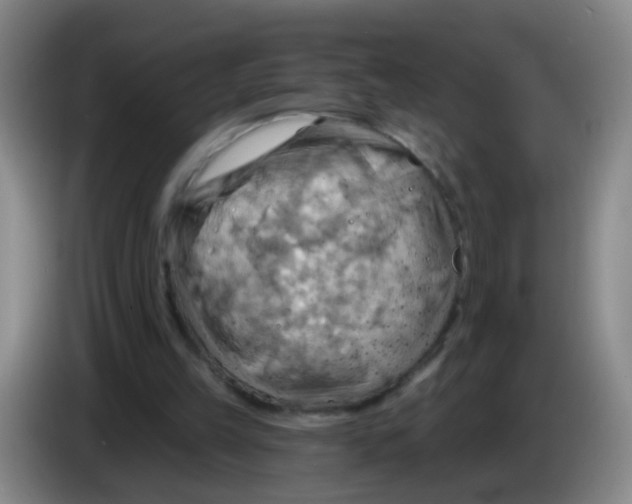 X0000083970149200703091810