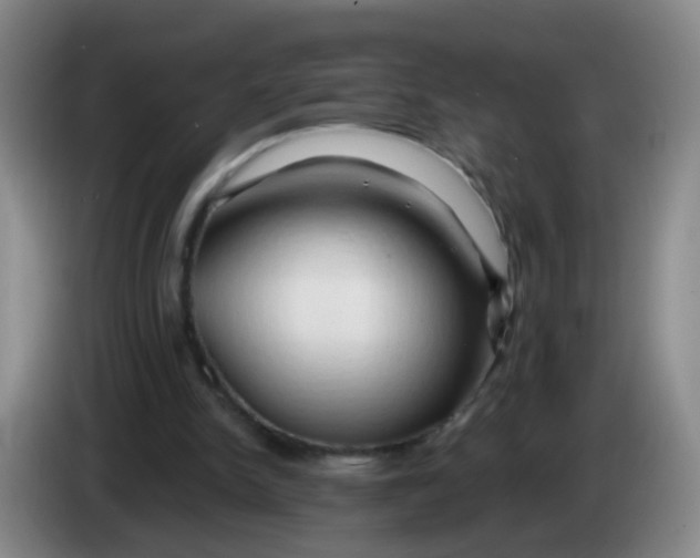 X0000083970150200703091810