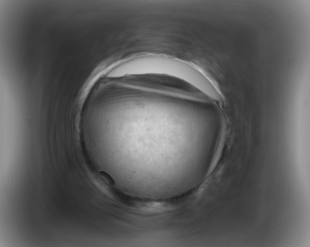 X0000083970151200703091810