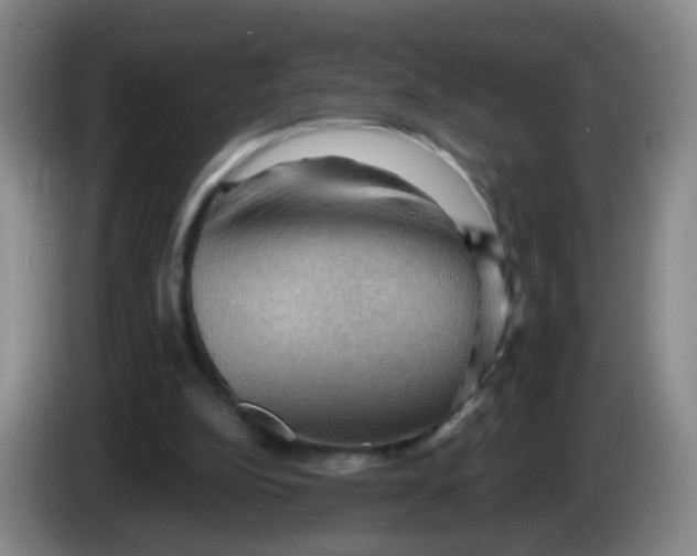 X0000083970152200703091810