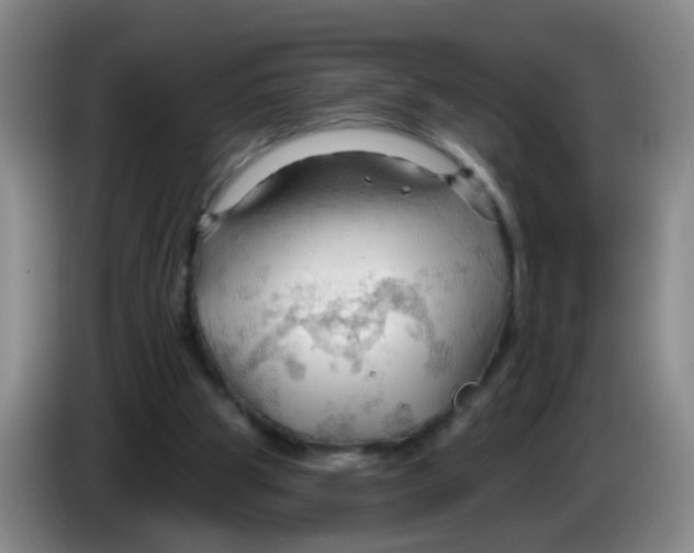X0000083970153200703091810