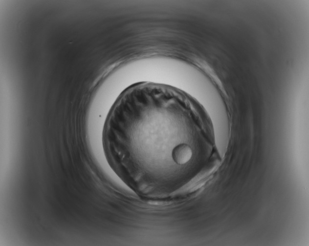 X0000083970154200703091810