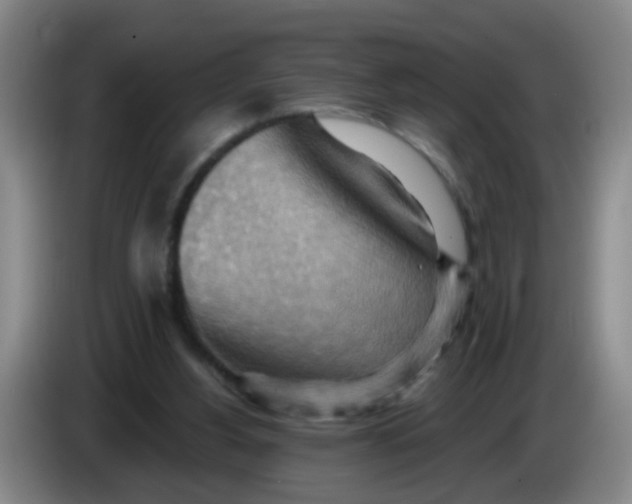 X0000083970156200703091810