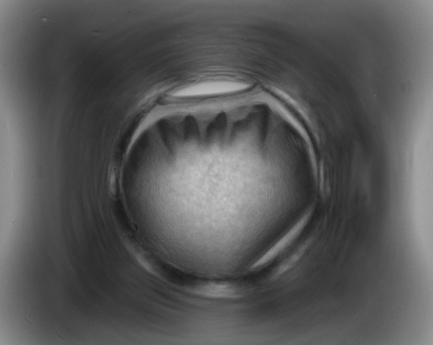 X0000083970157200703091810
