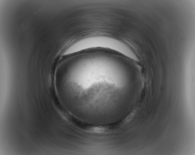 X0000083970158200703091810