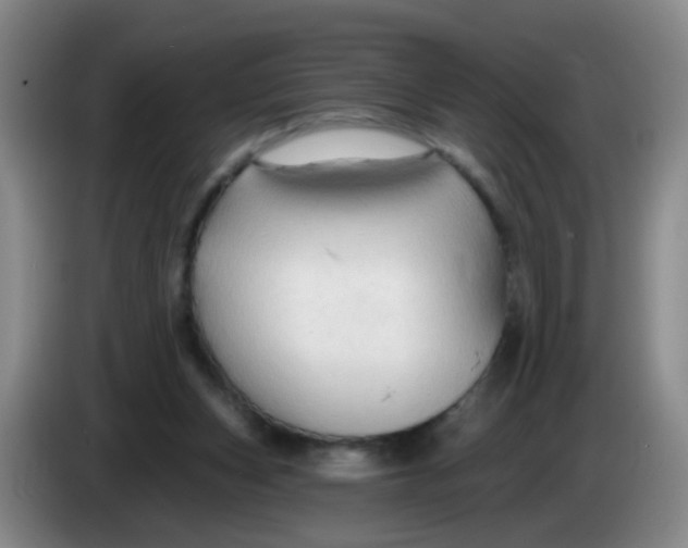 X0000083970159200703091810