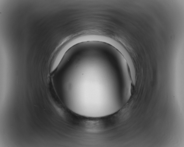 X0000083970160200703091810