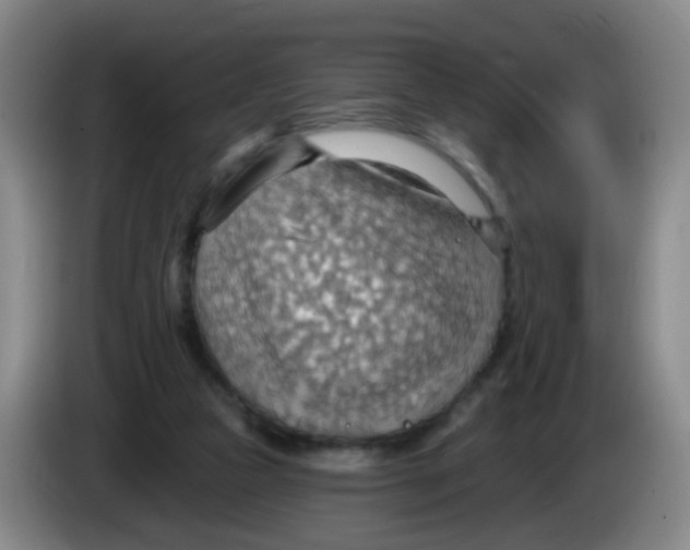 X0000083970161200703091810