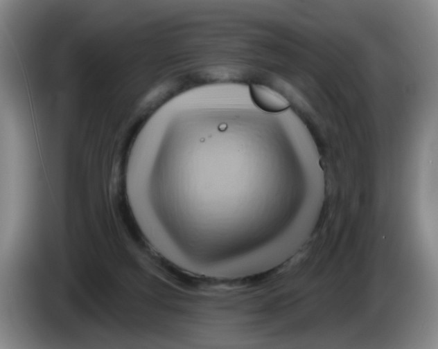X0000083970163200703091810
