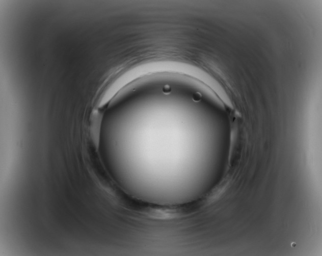 X0000083970164200703091810