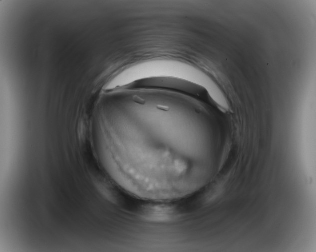 X0000083970165200703091810