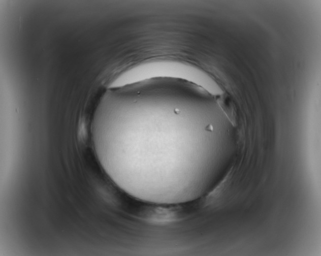 X0000083970166200703091810