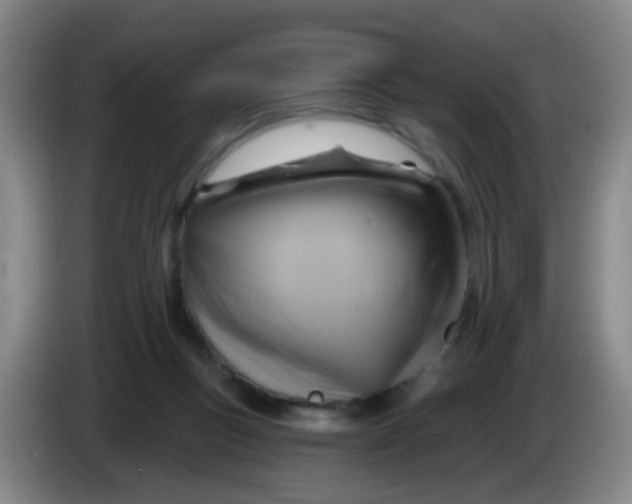X0000083970167200703091810