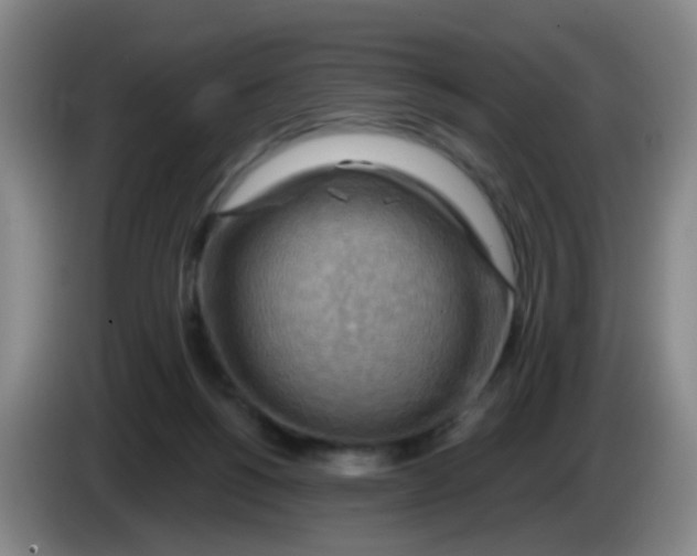X0000083970168200703091810