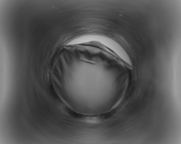 X0000083970169200703091810